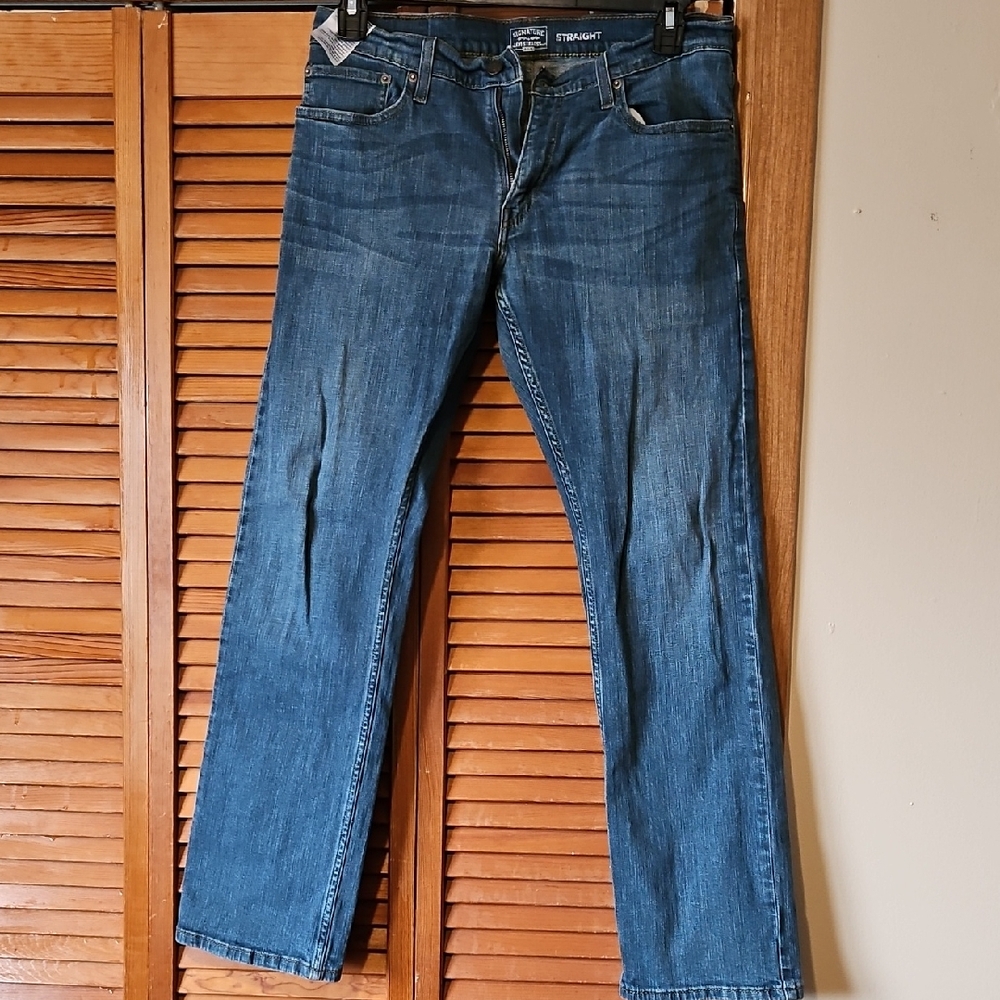 Signature by Levi Strauss Men's Denim Straight Jeans